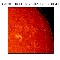 gong - 2026-02-22T03:00:42