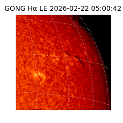 gong - 2026-02-22T05:00:42
