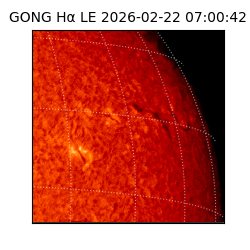 gong - 2026-02-22T07:00:42