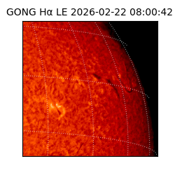 gong - 2026-02-22T08:00:42