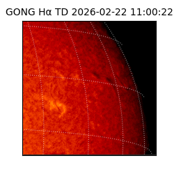 gong - 2026-02-22T11:00:22