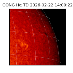 gong - 2026-02-22T14:00:22