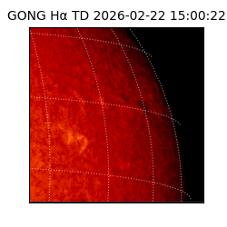 gong - 2026-02-22T15:00:22