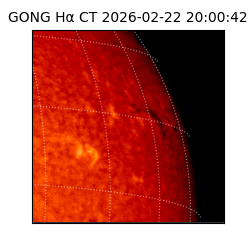 gong - 2026-02-22T20:00:42