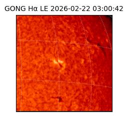 gong - 2026-02-22T03:00:42