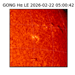 gong - 2026-02-22T05:00:42