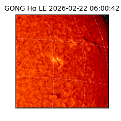 gong - 2026-02-22T06:00:42
