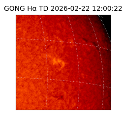 gong - 2026-02-22T12:00:22