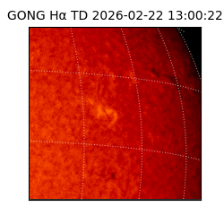 gong - 2026-02-22T13:00:22