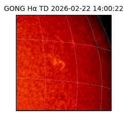 gong - 2026-02-22T14:00:22