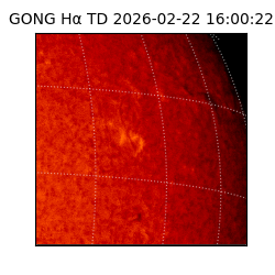 gong - 2026-02-22T16:00:22