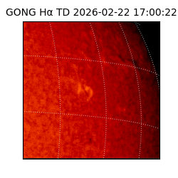 gong - 2026-02-22T17:00:22