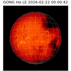 gong - 2026-02-22T00:00:42