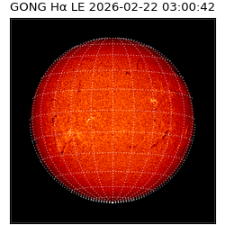 gong - 2026-02-22T03:00:42