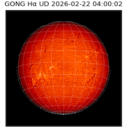gong - 2026-02-22T04:00:02