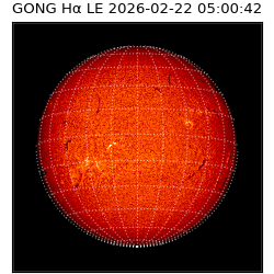 gong - 2026-02-22T05:00:42