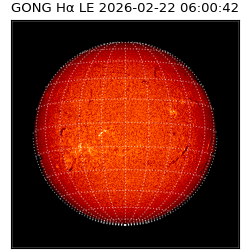 gong - 2026-02-22T06:00:42