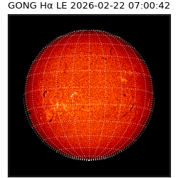 gong - 2026-02-22T07:00:42