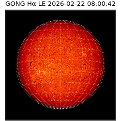 gong - 2026-02-22T08:00:42