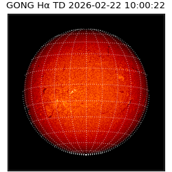 gong - 2026-02-22T10:00:22