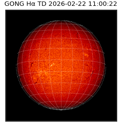 gong - 2026-02-22T11:00:22