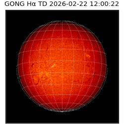 gong - 2026-02-22T12:00:22