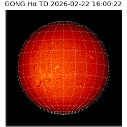 gong - 2026-02-22T16:00:22