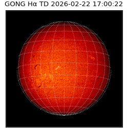 gong - 2026-02-22T17:00:22