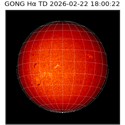 gong - 2026-02-22T18:00:22