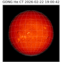 gong - 2026-02-22T19:00:42