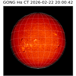 gong - 2026-02-22T20:00:42
