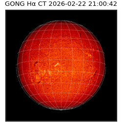 gong - 2026-02-22T21:00:42