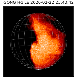 gong - 2026-02-22T23:43:42
