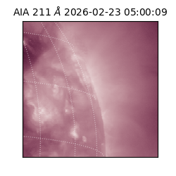 saia - 2026-02-23T05:00:09.626000