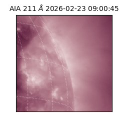 saia - 2026-02-23T09:00:45.617000