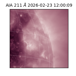 saia - 2026-02-23T12:00:09.623000