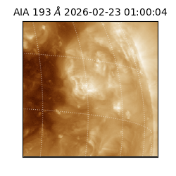 saia - 2026-02-23T01:00:04.843000