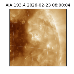saia - 2026-02-23T08:00:04.835000