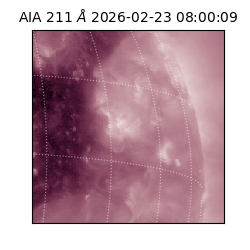 saia - 2026-02-23T08:00:09.618000