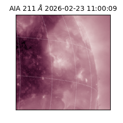 saia - 2026-02-23T11:00:09.630000