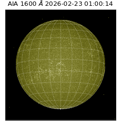saia - 2026-02-23T01:00:14.126000