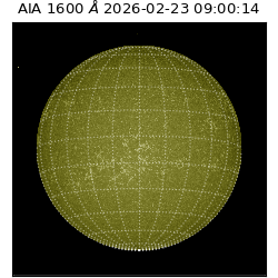 saia - 2026-02-23T09:00:14.126000