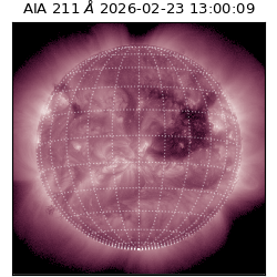 saia - 2026-02-23T13:00:09.630000