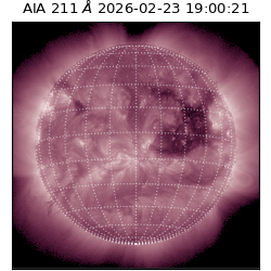 saia - 2026-02-23T19:00:21.626000