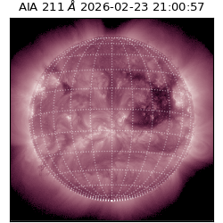 saia - 2026-02-23T21:00:57.618000