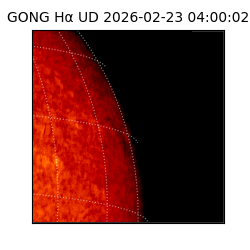 gong - 2026-02-23T04:00:02