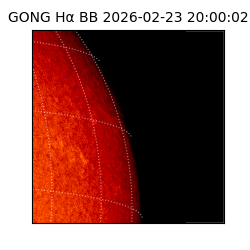 gong - 2026-02-23T20:00:02