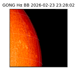 gong - 2026-02-23T23:28:02