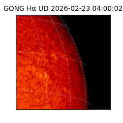 gong - 2026-02-23T04:00:02