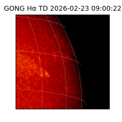 gong - 2026-02-23T09:00:22
